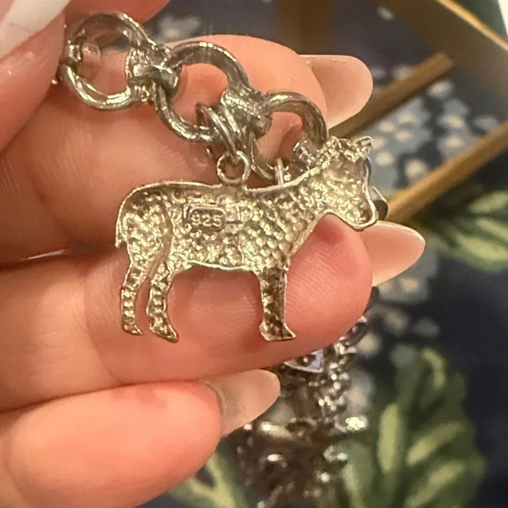 Texas Sterling Silver Charm Bracelet